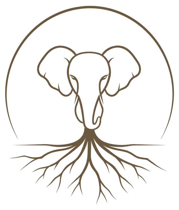 Root & Rise mark: an elephant head within an arch, trunk flowing into roots